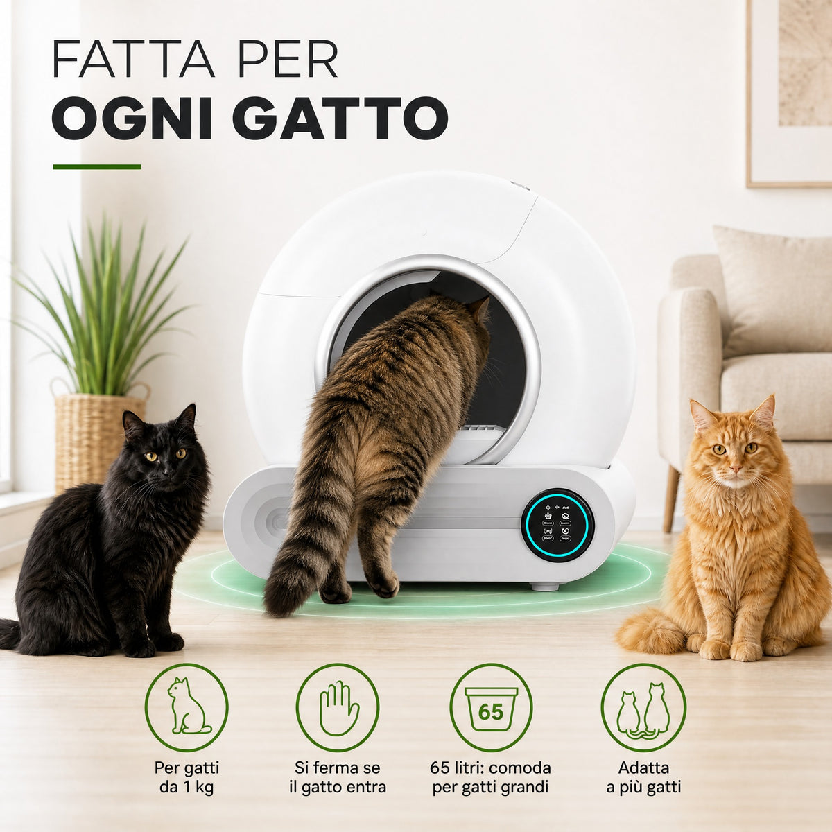 Fatta per ogni gatto: da 1 kg, gatti grandi, più gatti