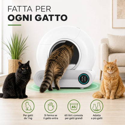 Fatta per ogni gatto: da 1 kg, gatti grandi, più gatti